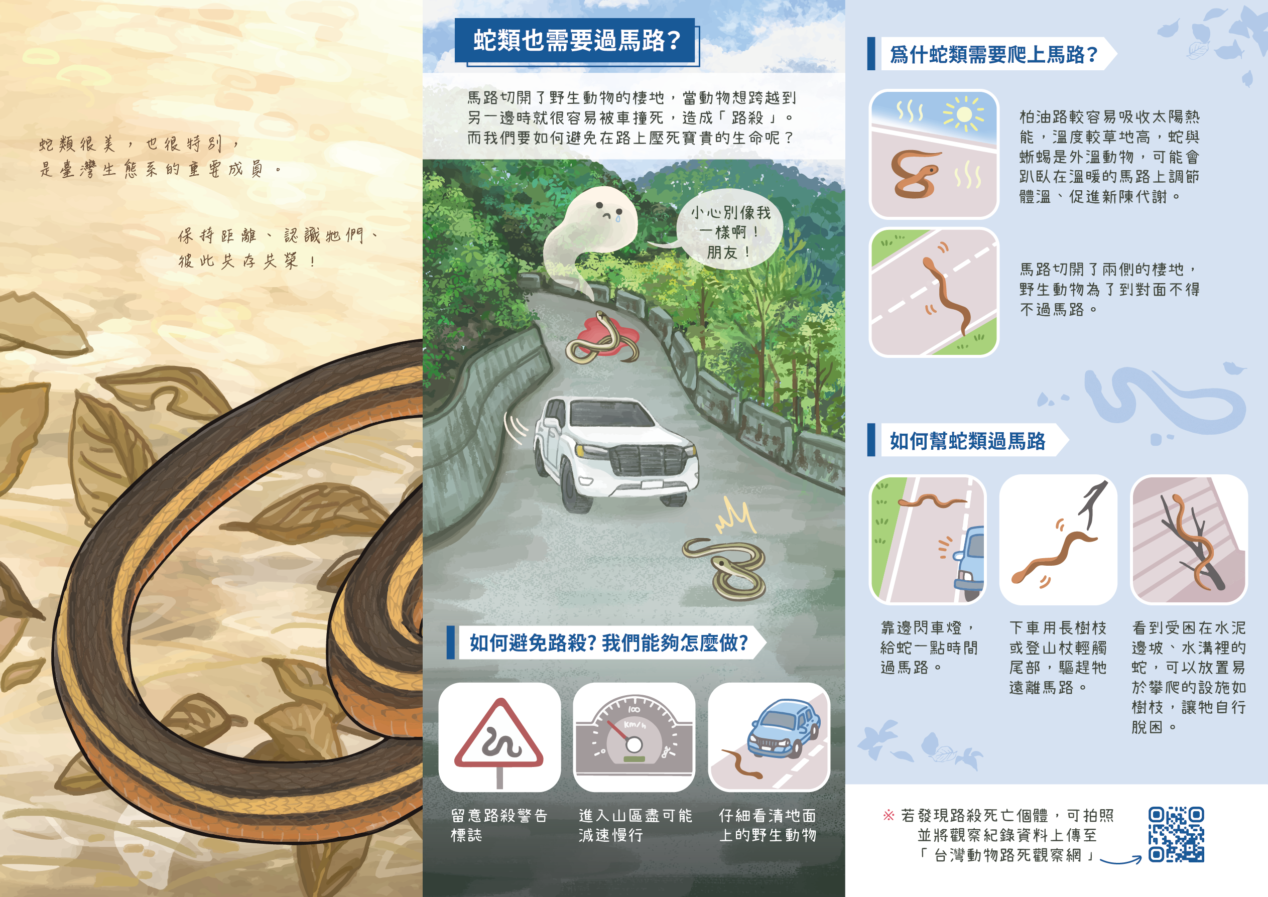 「山區活動×蛇類保育」摺頁電子檔