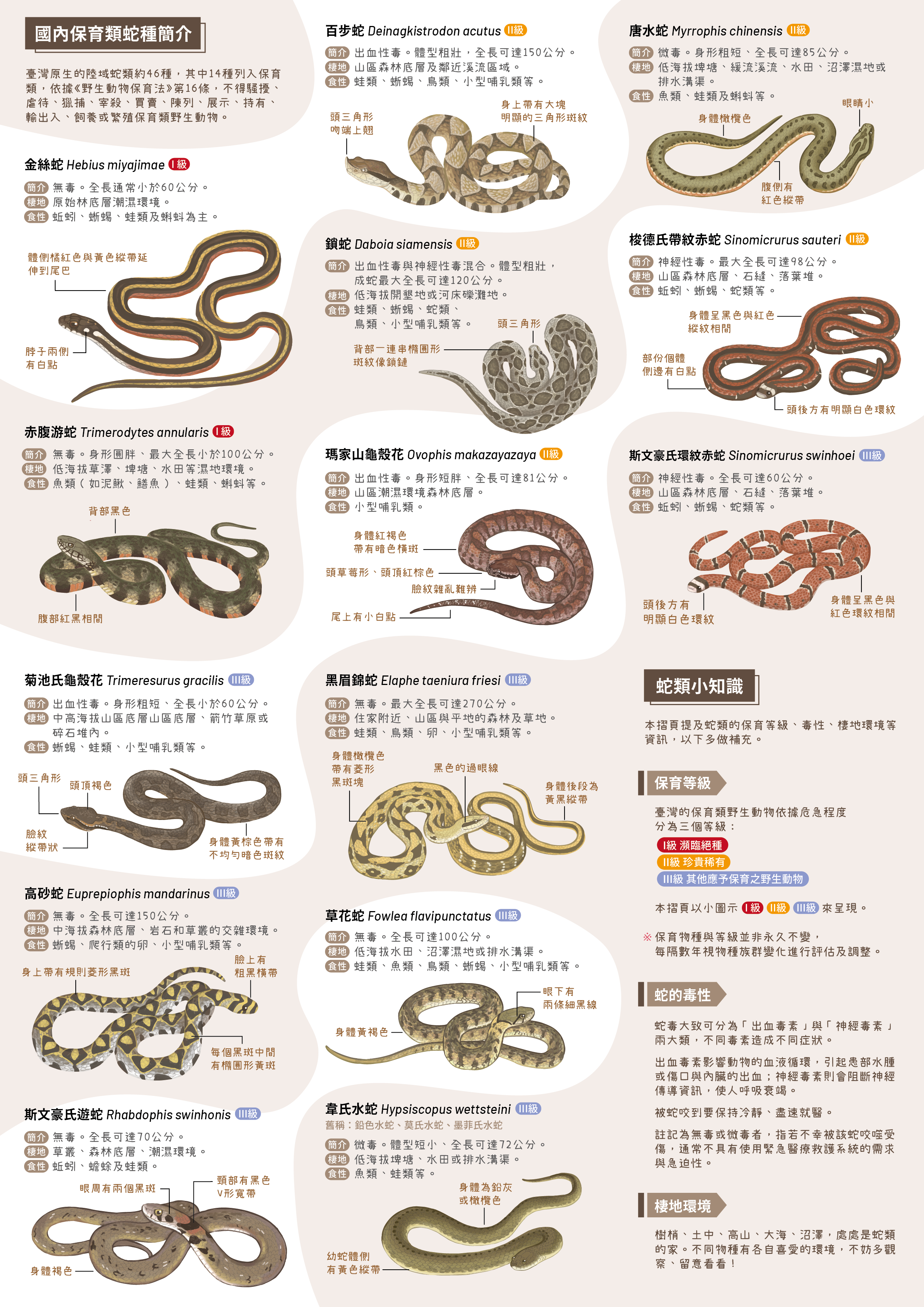 「山區活動×蛇類保育」摺頁電子檔