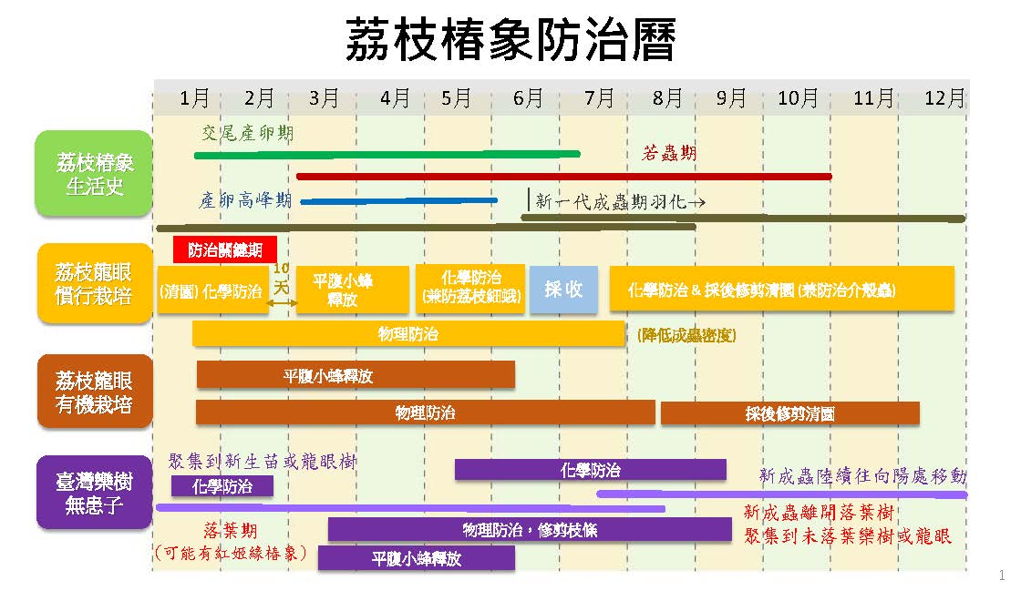 荔枝椿象防治曆